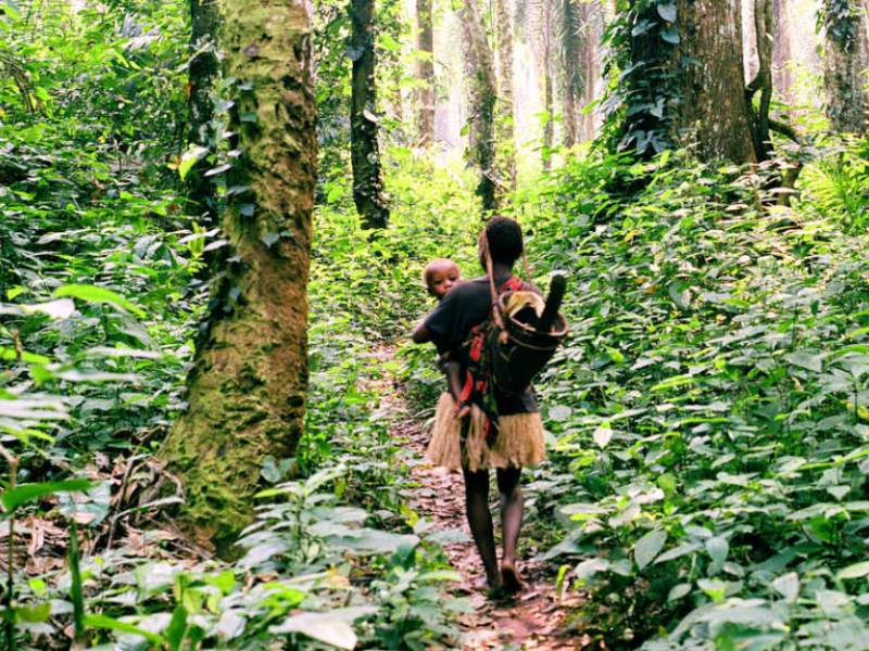 Congo: Indigenous Ecologies Through Walking