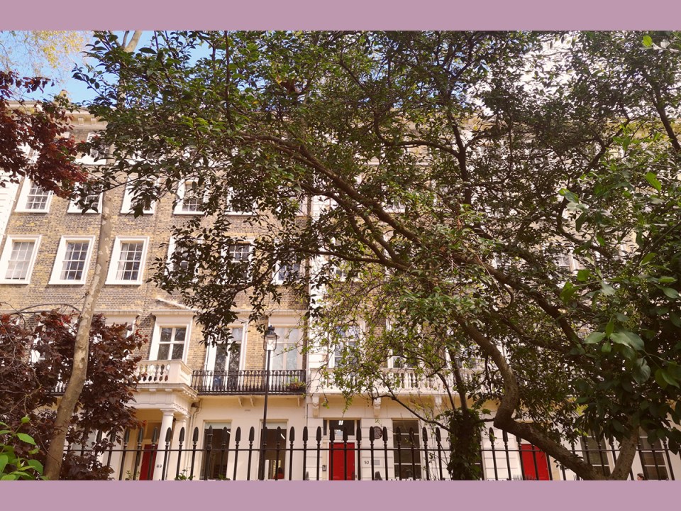 Facades of houses with red and black doors in Bloomsbury behind trees. At the bottom of the picture the top of a fence.