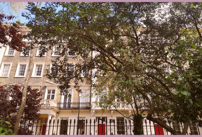 Facades of houses with red and black doors in Bloomsbury behind trees. At the bottom of the picture the top of a fence.