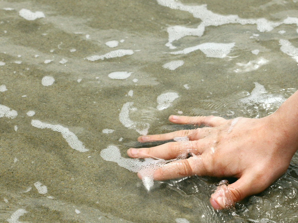 The First Page: Multisensory Experiences